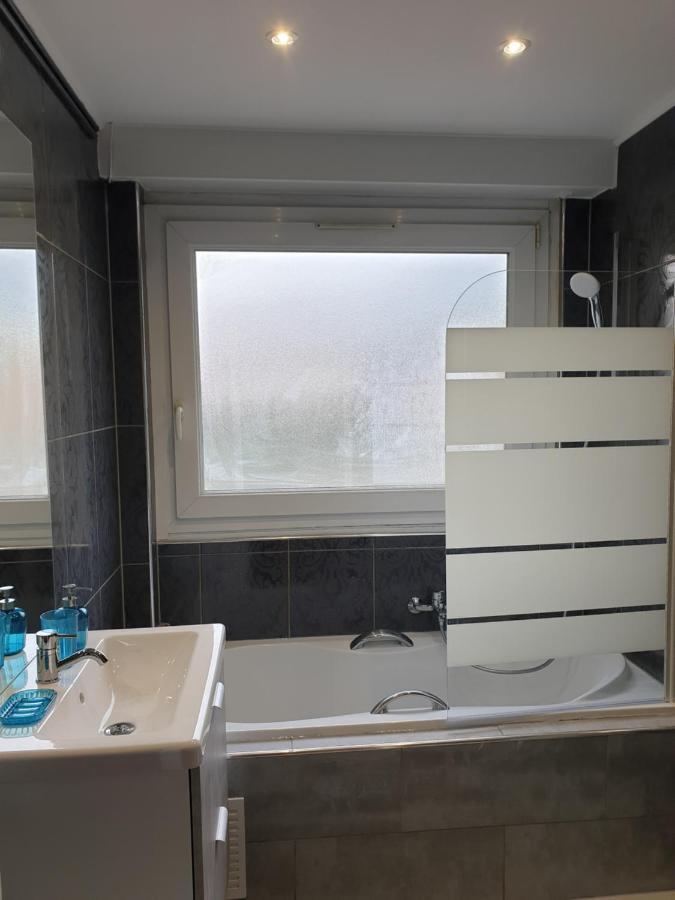 Appartement La Roseraie Proche Centre/Gare Metz Buitenkant foto
