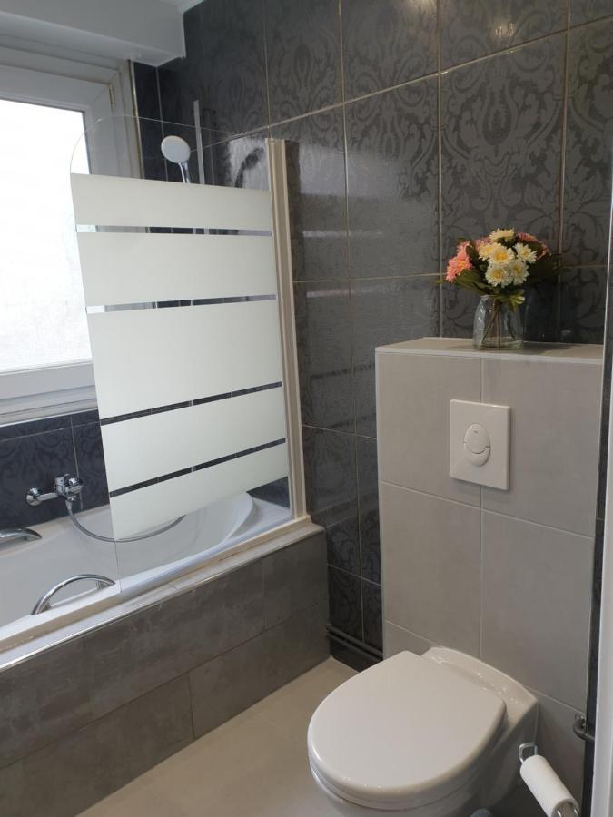 Appartement La Roseraie Proche Centre/Gare Metz Buitenkant foto